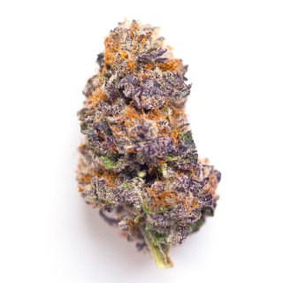 Flo cannabis strain