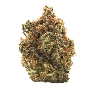 Flora D Explora cannabis strain