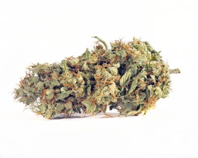 Fortissimo cannabis strain