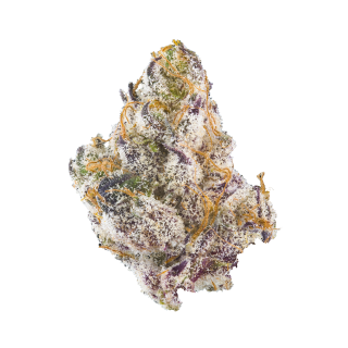 French Laundry cannabis strain