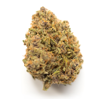 Fruit Spirit cannabis strain