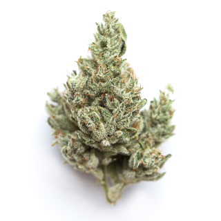 Future cannabis strain