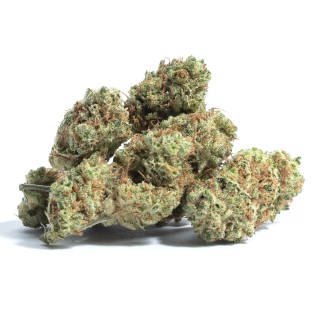 Gabagool cannabis strain