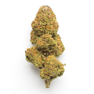 Galactica OG cannabis strain