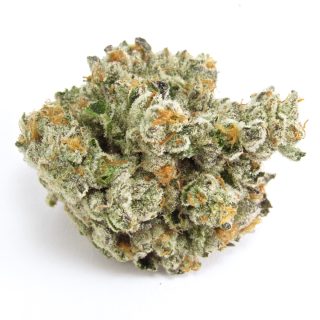 Gas Face cannabis strain