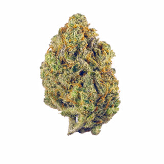 Gas Station Sushi cannabis strain