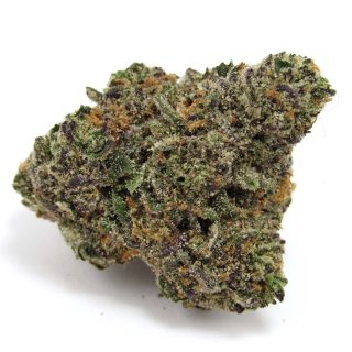 Gastro Pop cannabis strain
