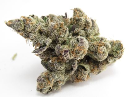 Georgia Apple Pie cannabis strain