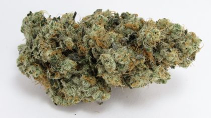 GMO OG cannabis strain