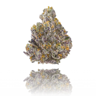 Golden Applez cannabis strain