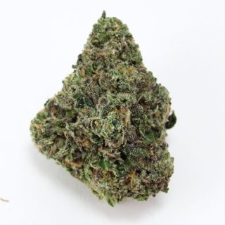 Goofiez cannabis strain