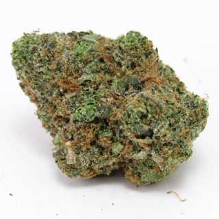 Grapefruit Zlushiez cannabis strain