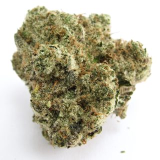 Greasy Runtz cannabis strain