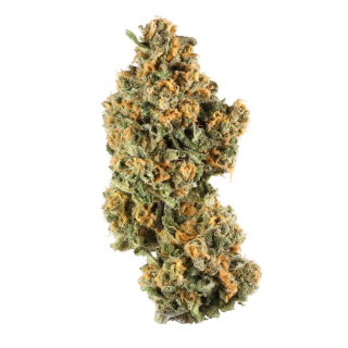 Green Cheese cannabis strain