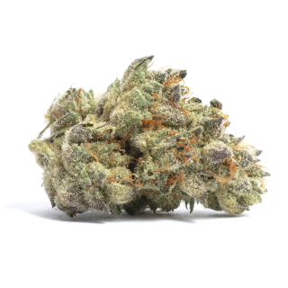 Green Kush cannabis strain