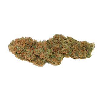 Green Poison cannabis strain