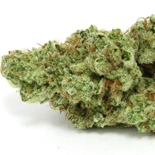 Grumpy Tiger cannabis strain