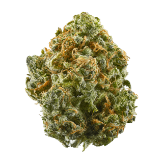 Guava cannabis strain