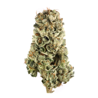 Hard Candy cannabis strain