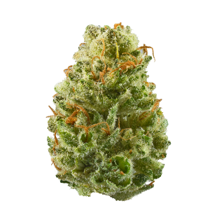 Hawaiian Sunrise cannabis strain