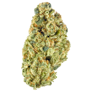 Headband cannabis strain