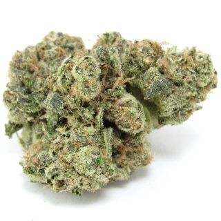 Headbanger cannabis strain