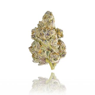 Honey Lemon Hibiscus cannabis strain