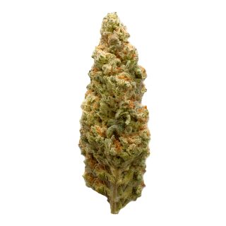 Honeycomb cannabis strain