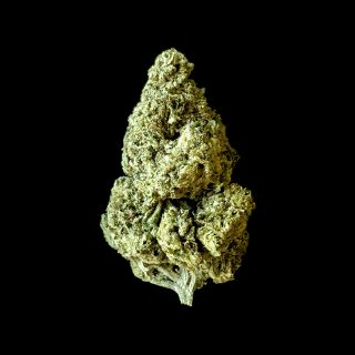Honeymoon Cake cannabis strain