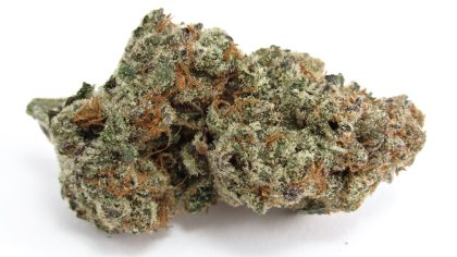 Horchata cannabis strain