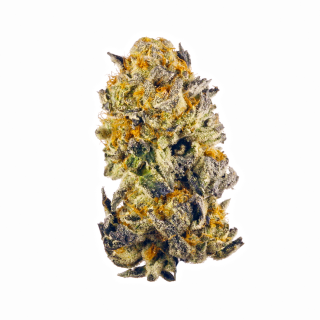 Huckleberry Diesel cannabis strain