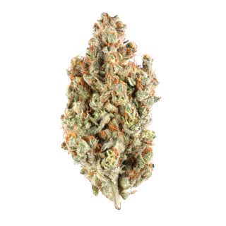 Ice Cream Banana cannabis strain