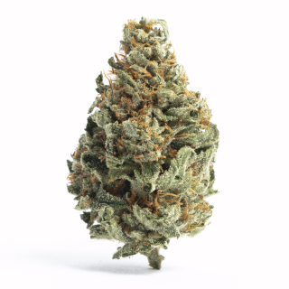Ice Cream Sherbet cannabis strain