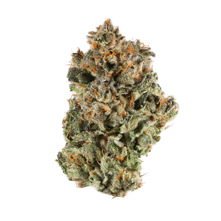Ice Wine cannabis strain