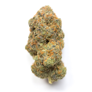 Ingrid cannabis strain