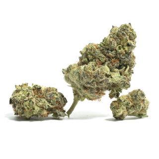 Island Girl cannabis strain