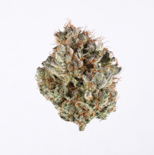 Italian Soda cannabis strain