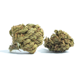 Jamaican Dream cannabis strain