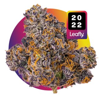 Jealousy cannabis strain