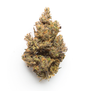 Jungle Pie cannabis strain