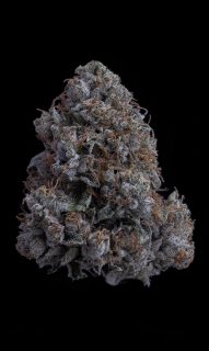 K1 OG cannabis strain
