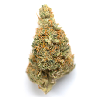 Kauai Electric cannabis strain
