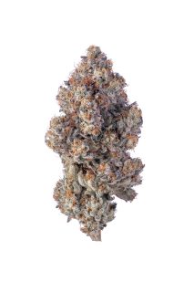 Khalifa Mints cannabis strain