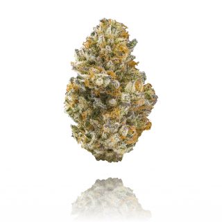 Kiwi Sorbet cannabis strain