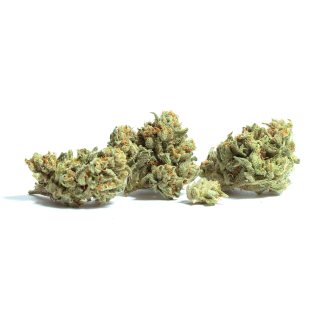 Kona Gold cannabis strain