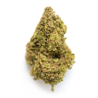 Landslide cannabis strain