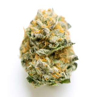 Larry Bubba cannabis strain