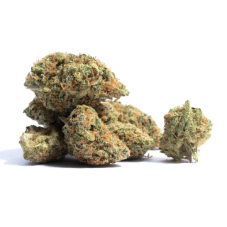 Laughing Gas cannabis strain