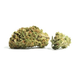 Lemon Garlic OG cannabis strain