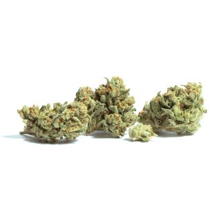 Lemon OG cannabis strain